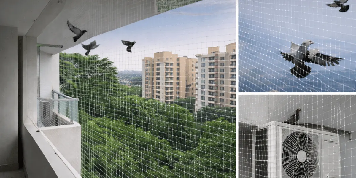 Pigeon Safety Nets